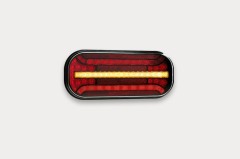 ft-230 nt pm led di.jpg